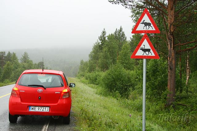 Norwegia (309).JPG - Norwegia północna